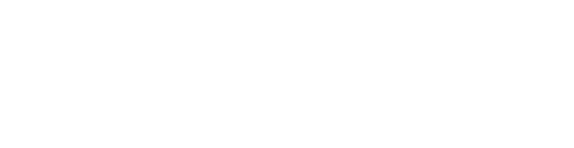 SafeDR